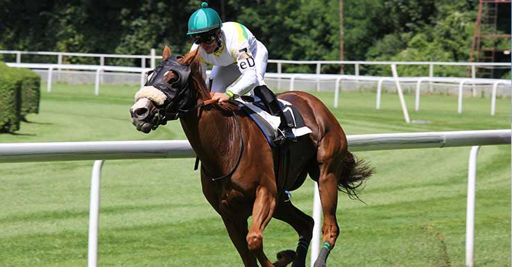 stoixima prognwstika horse race
